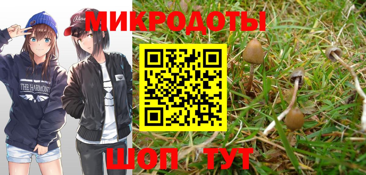 Галлюциногенные грибы GOLDEN TEACHER Магадан
