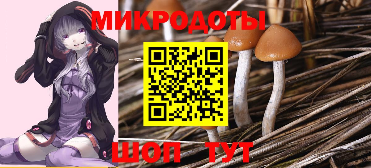 Псилоцибиновые грибы Cubensis  Вход с VPN  Магадан  Псилоцибиновые грибы мухоморы 
